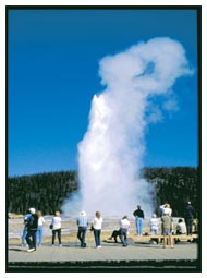 guided bus tours yellowstone national park